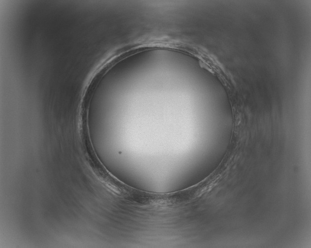 X0000075410344200610062003