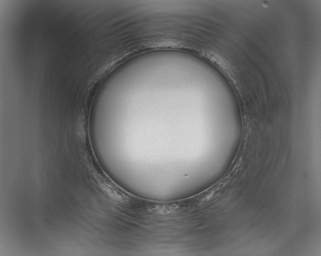 X0000075410345200610062003