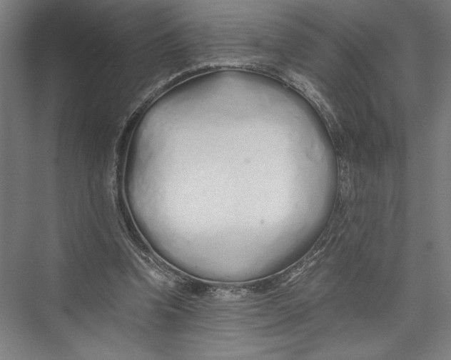 X0000075410346200610062003