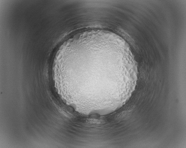 X0000075410347200610062003