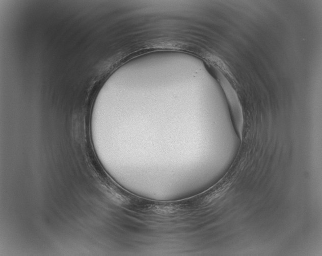 X0000075410349200610062003