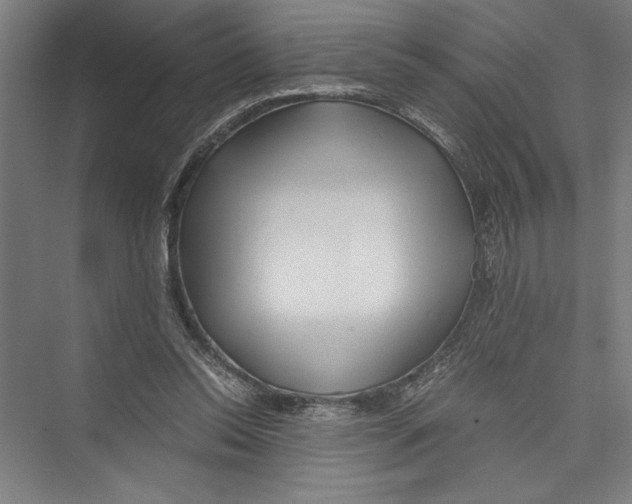 X0000075410350200610062003