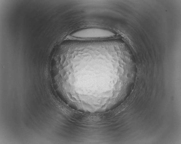 X0000075410353200610062003