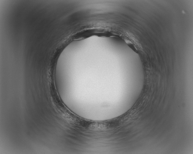 X0000075410354200610062003