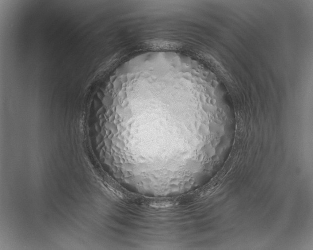 X0000075410357200610062003