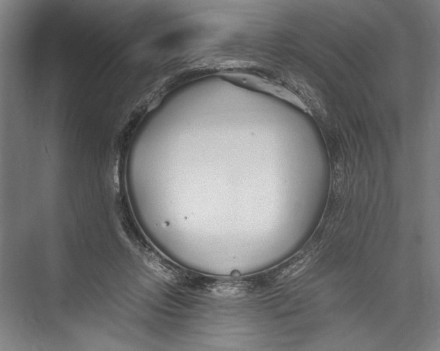 X0000075410358200610062003