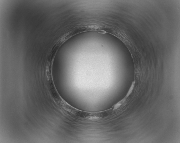 X0000075410360200610062003