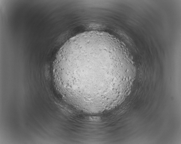 X0000075410361200610062003