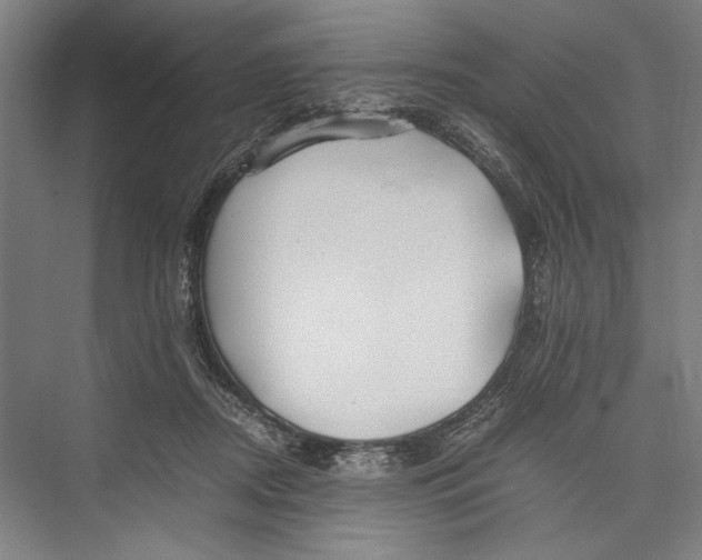 X0000075410362200610062003