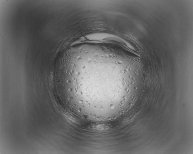 X0000075410365200610062003