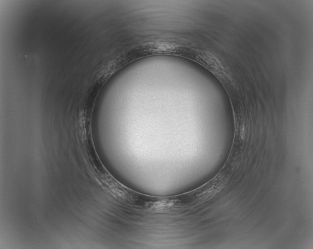 X0000075410366200610062003