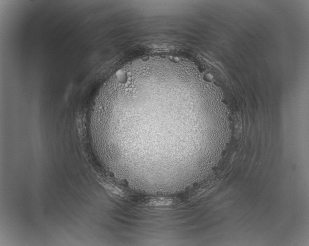 X0000075410369200610062003