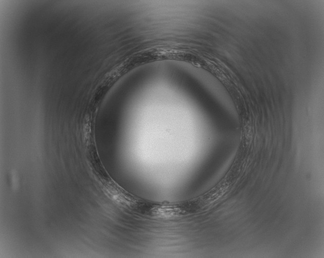 X0000075410372200610062003