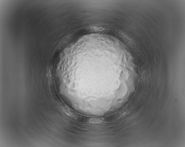 X0000075410373200610062004