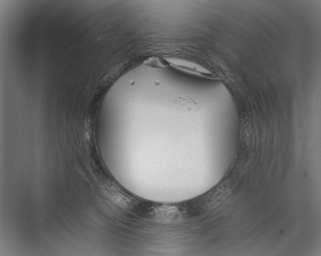 X0000075410374200610062004