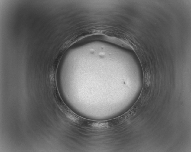 X0000075410375200610062004