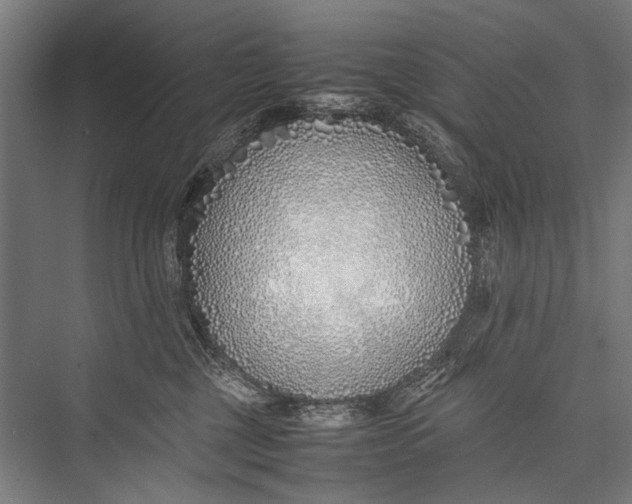 X0000075410377200610062004