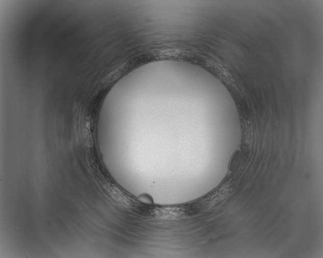 X0000075410378200610062004