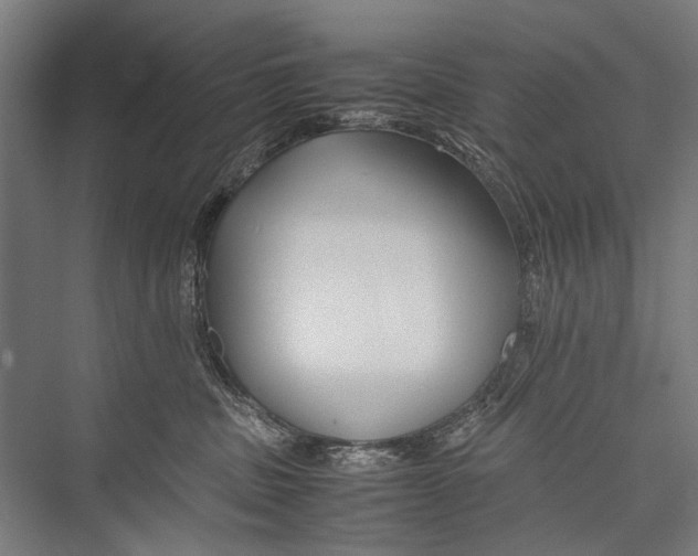 X0000075410379200610062004