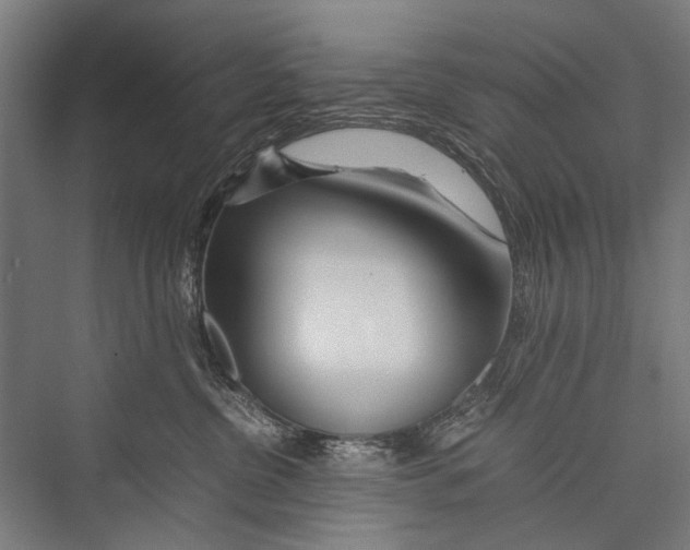 X0000075410380200610062004