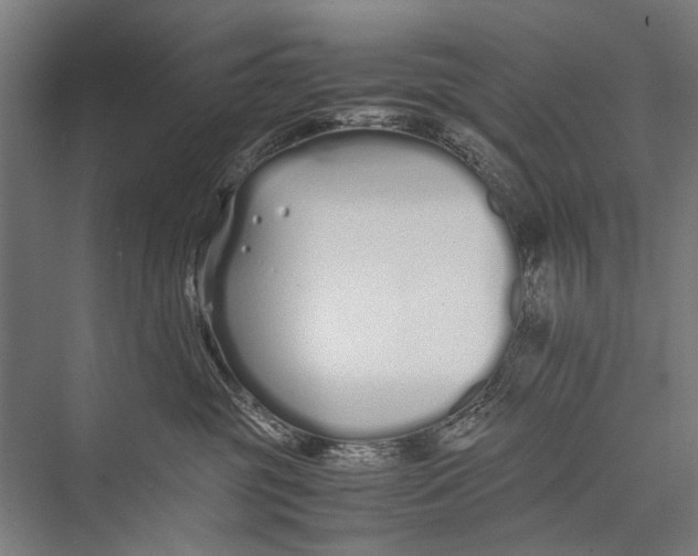 X0000075410381200610062004