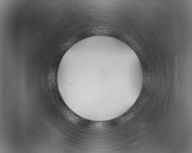 X0000075410382200610062004