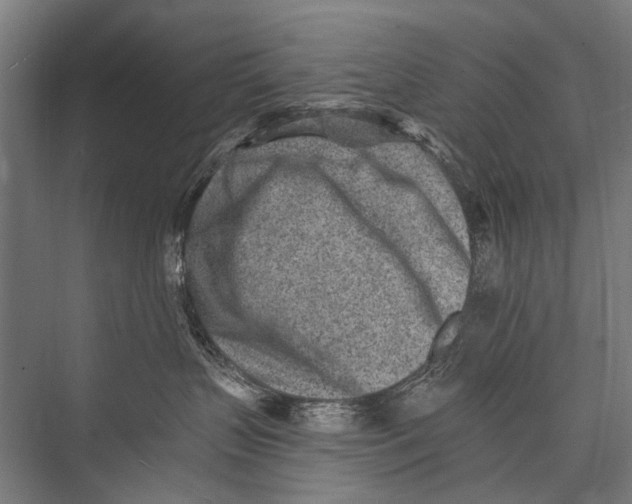 X0000075410383200610062004