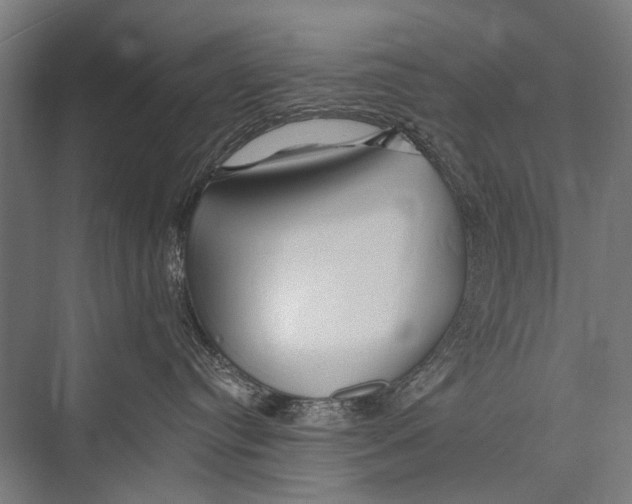 X0000075410384200610062004