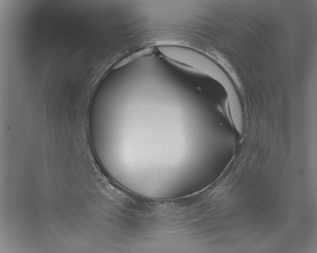 X0000075410385200610062003