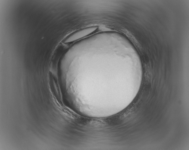 X0000075410386200610062003