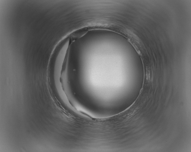 X0000075410388200610062003