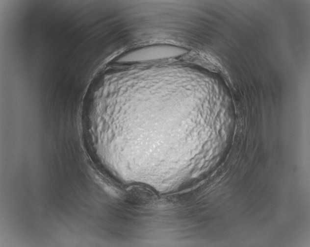 X0000075410390200610062003