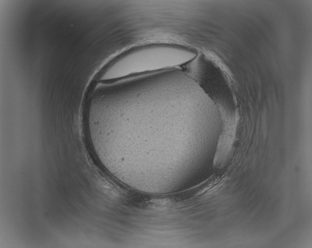 X0000075410391200610062003