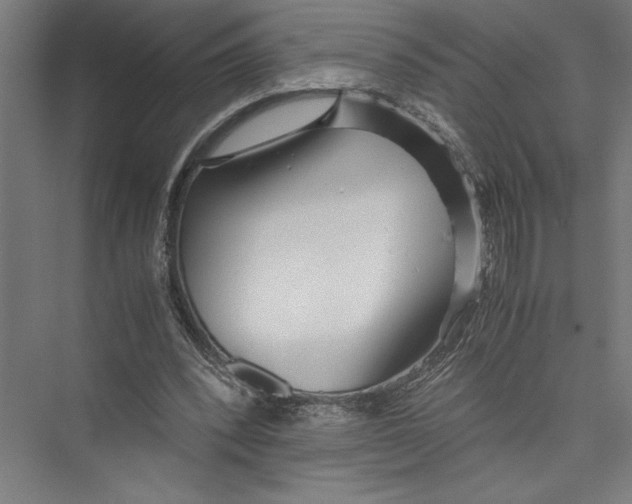 X0000075410392200610062003