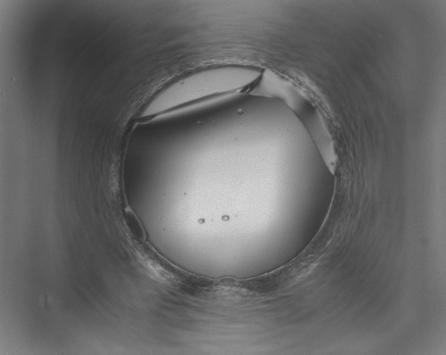 X0000075410393200610062003