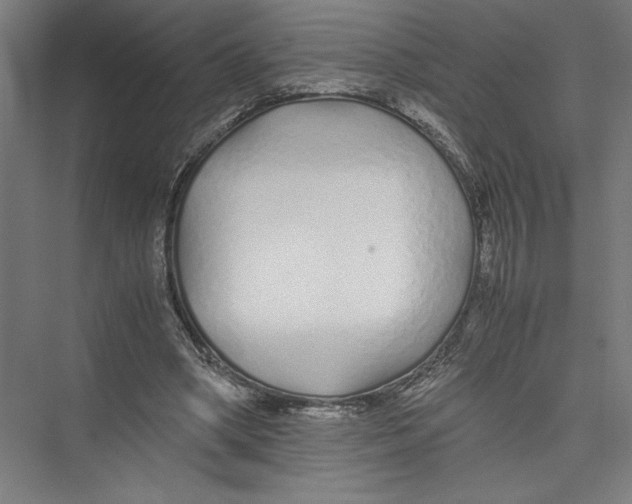 X0000075410394200610062003