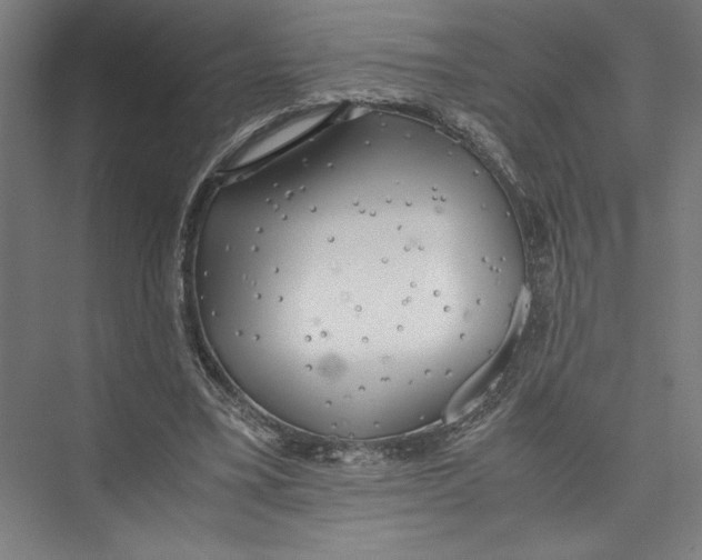 X0000075410395200610062003