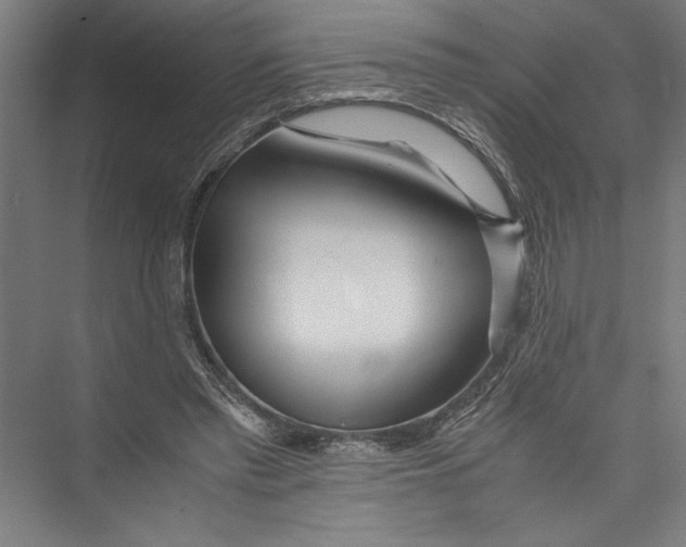 X0000075410397200610062003