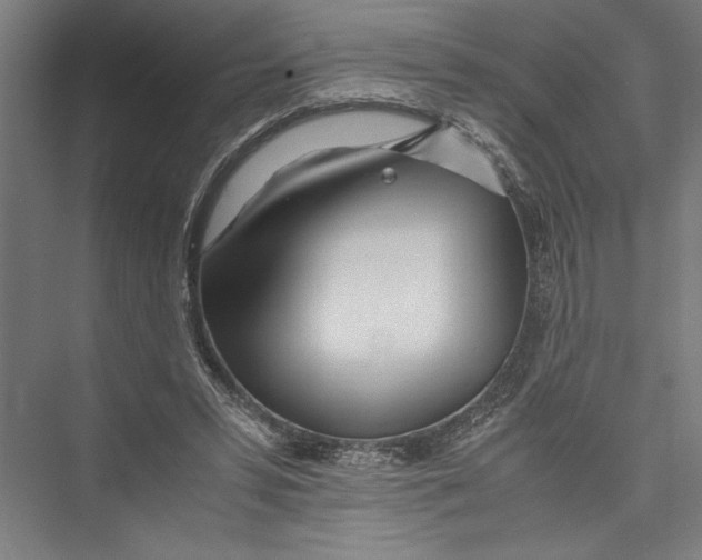 X0000075410399200610062003