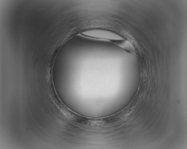 X0000075410401200610062003