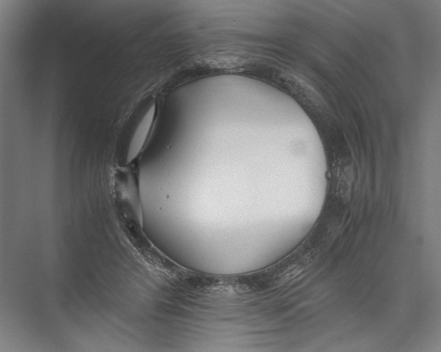 X0000075410404200610062003