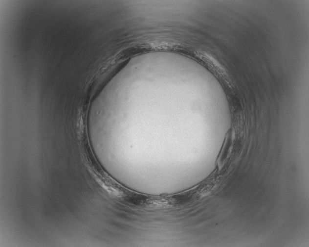 X0000075410405200610062003