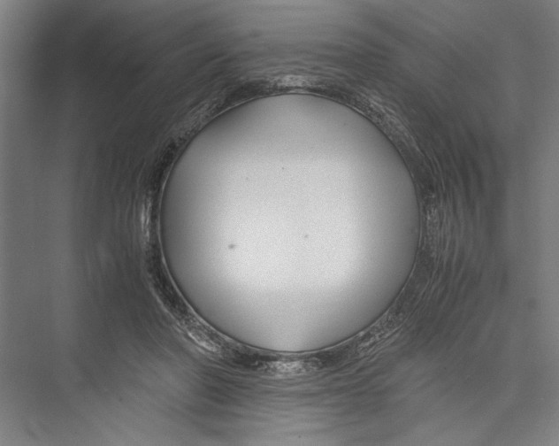 X0000075410406200610062003