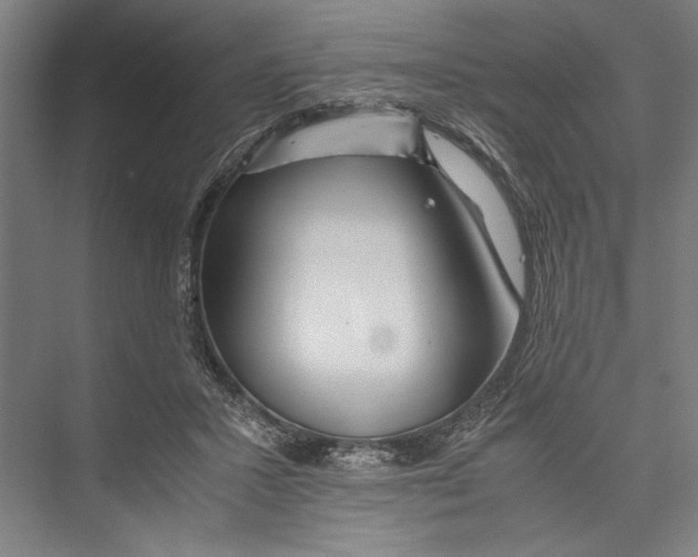 X0000075410407200610062002