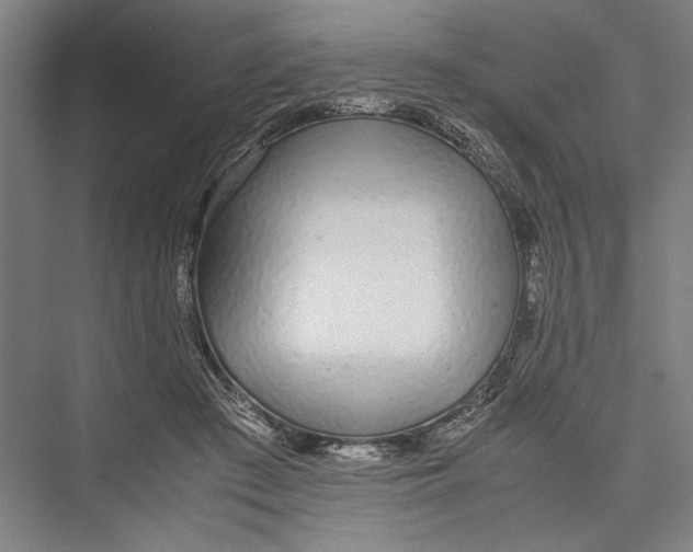 X0000075410409200610062002