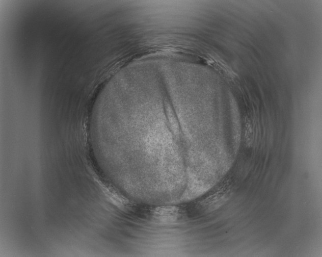 X0000075410410200610062002