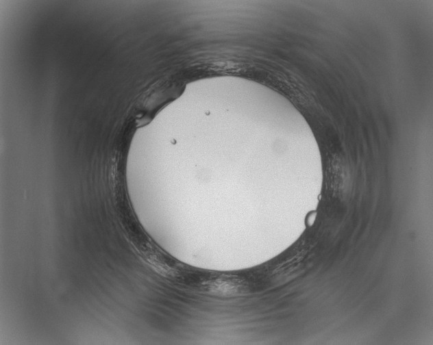 X0000075410412200610062002