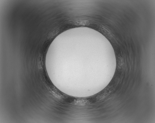 X0000075410414200610062002