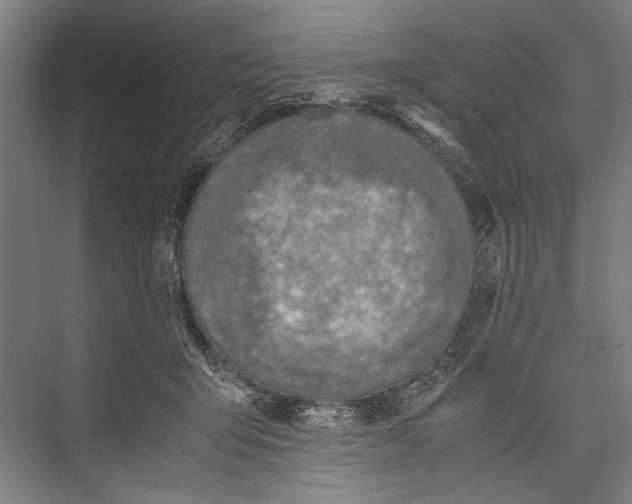 X0000075410415200610062002