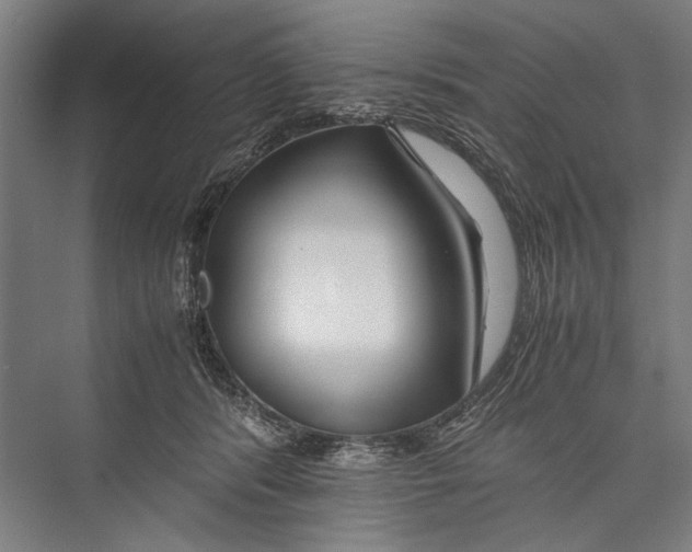 X0000075410416200610062002